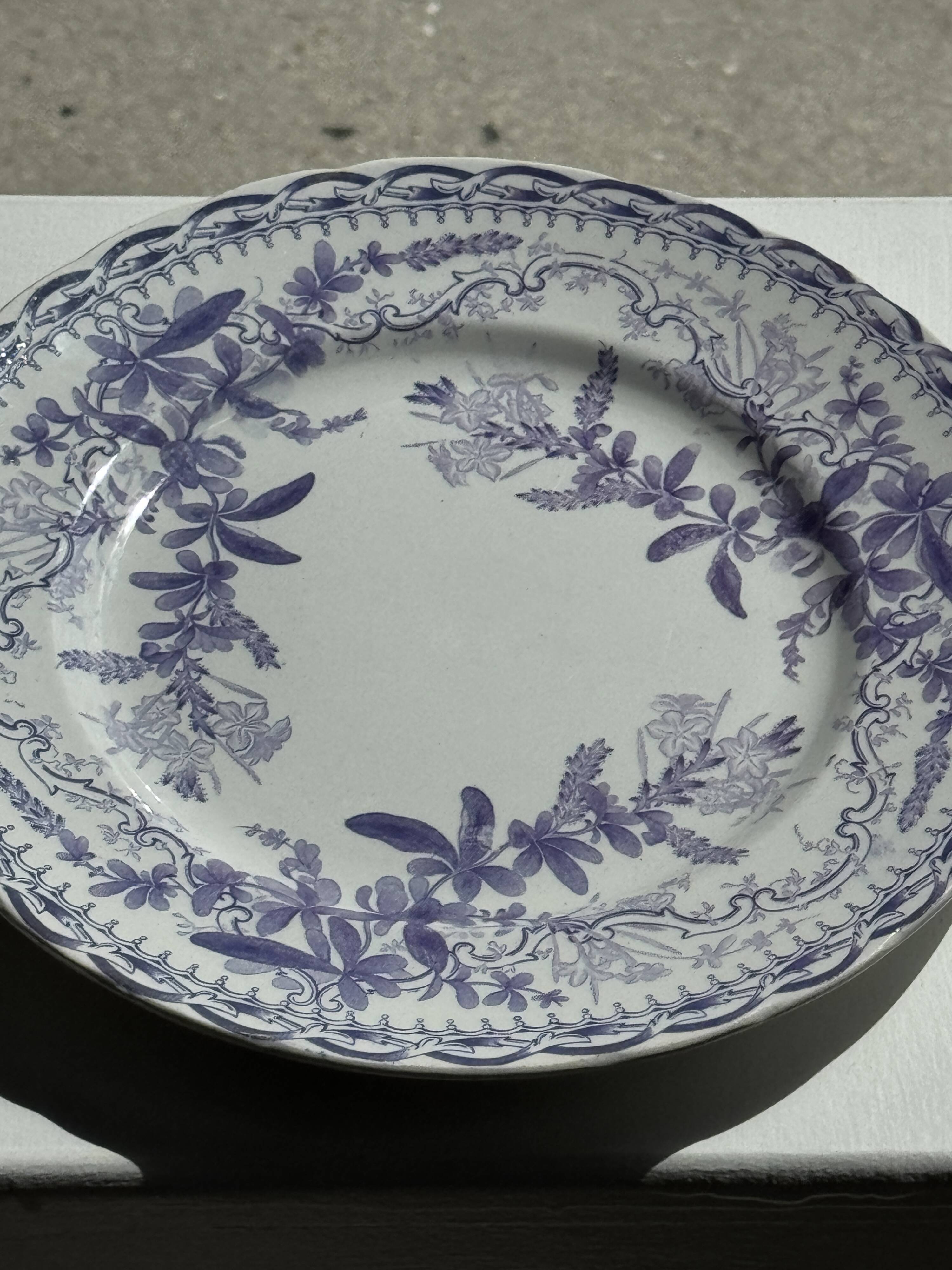 Set of 5 flat plates in earthenware with a lavender floral design H2 D22