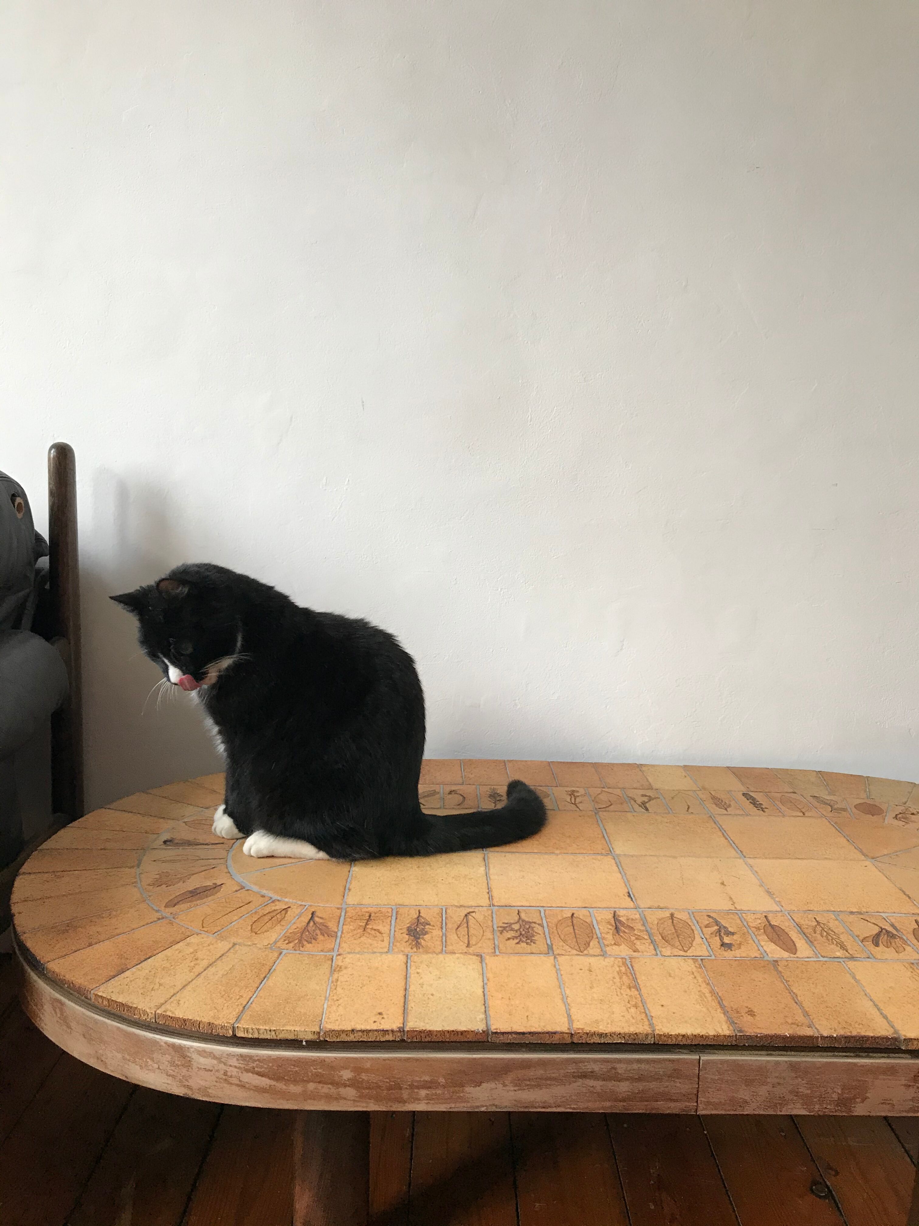 Roger Capron coffee table