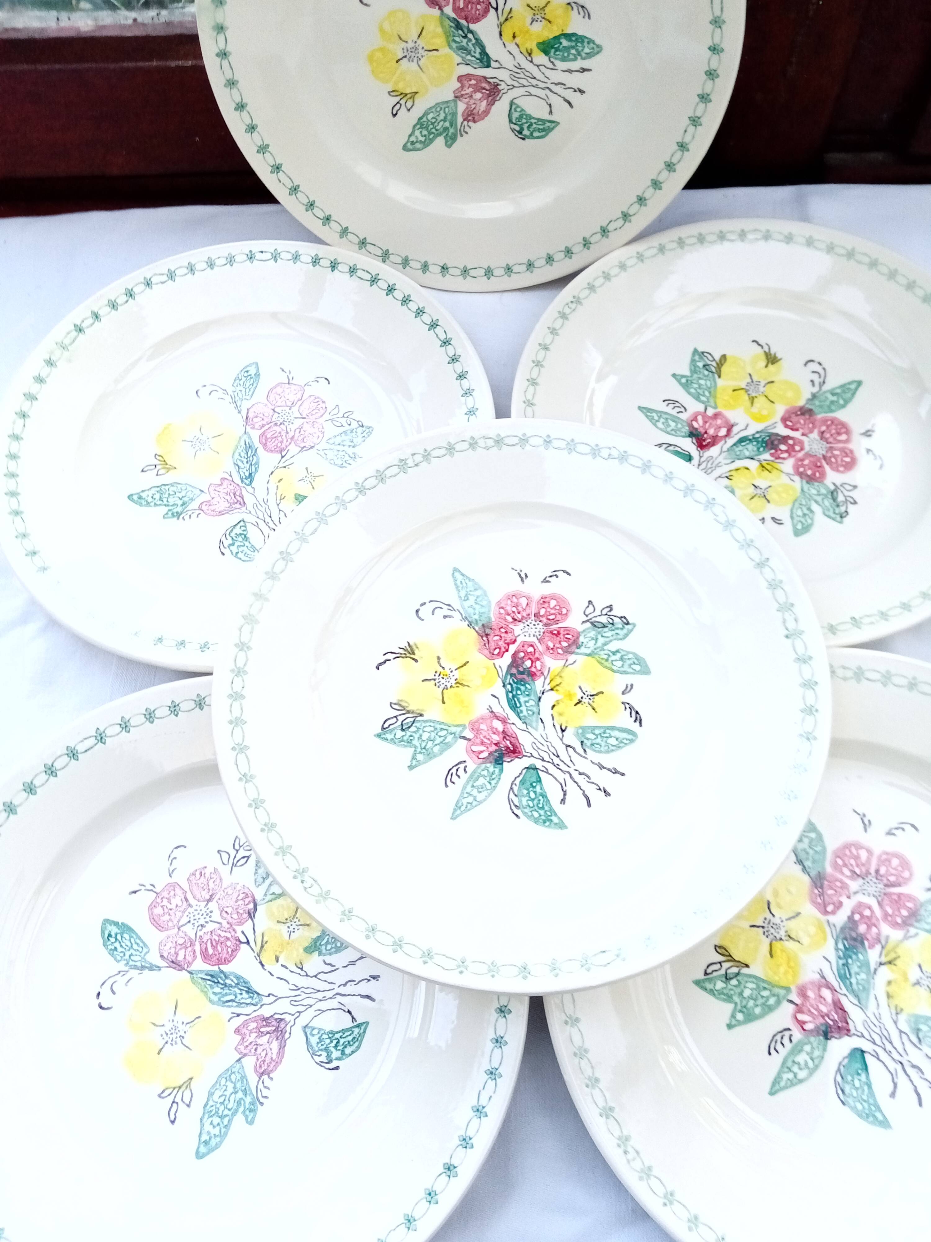 6 old flat plates