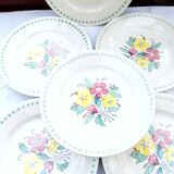 6 old flat plates