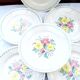 6 old flat plates