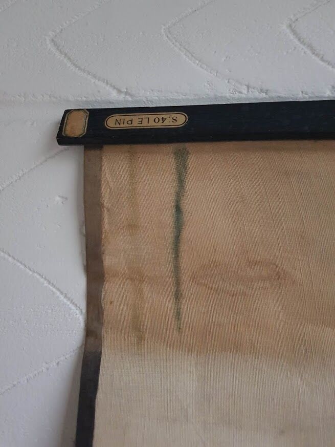 Vintage school poster by Paul Sougy - Le Pin, 1952