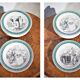 Service ceramic dessert plate St Amand x 11, cheese plate, talking plate theme sport