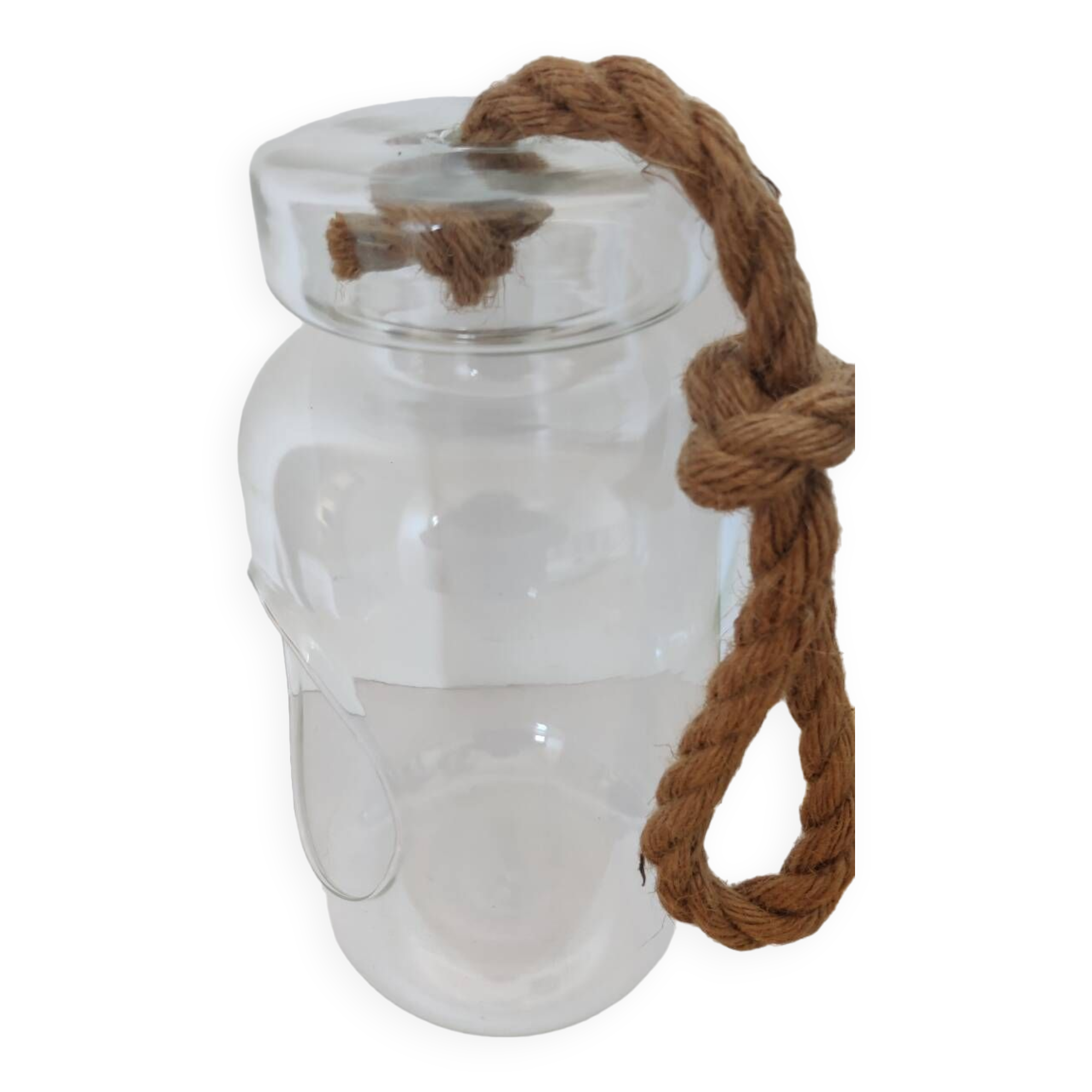 Large hanging glass vase