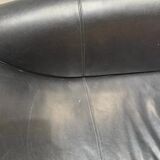 Vintage Ellittico sofa by Losa Ghini for Moroso