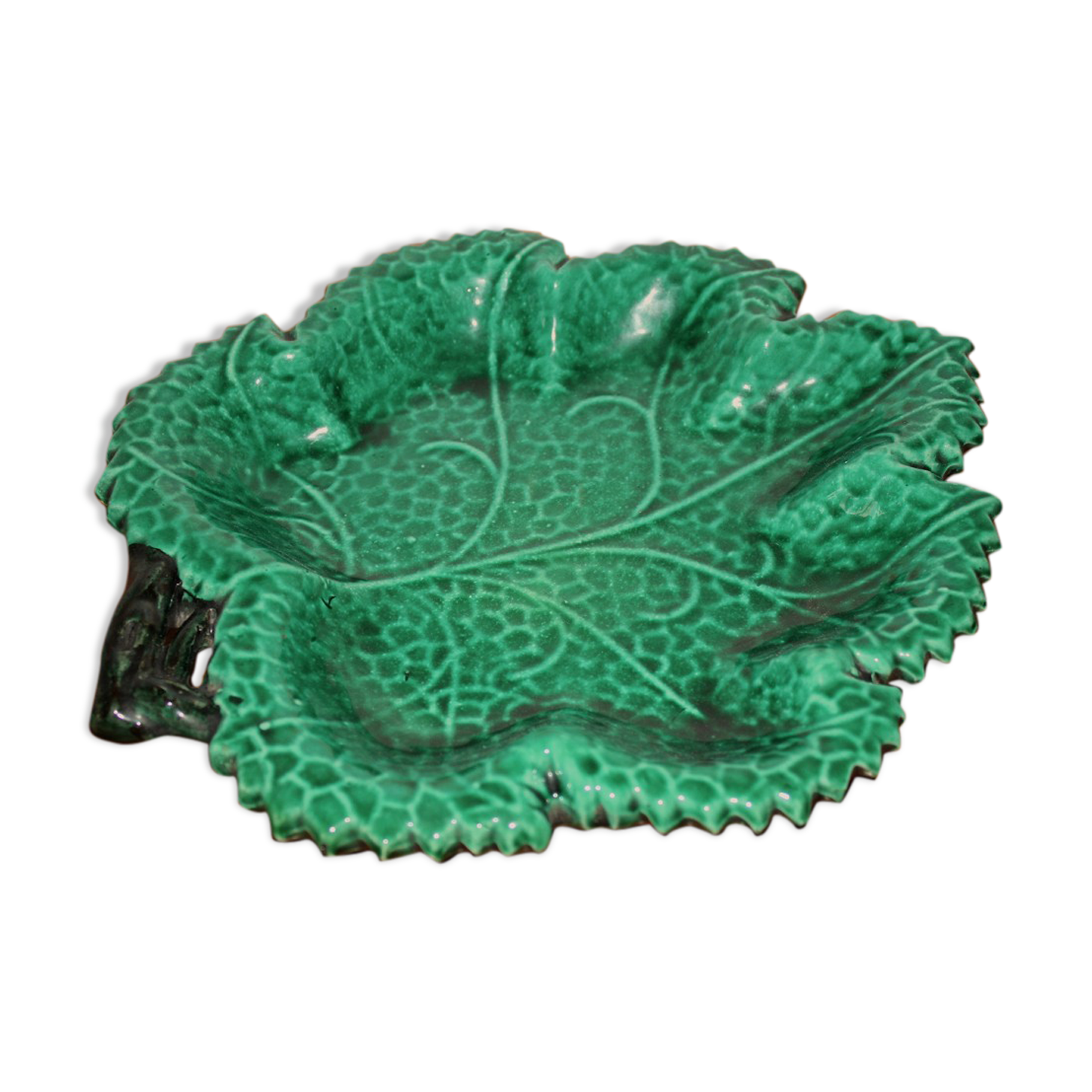 Flat vine leaf in dabbling