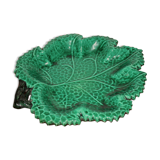 Flat vine leaf in dabbling