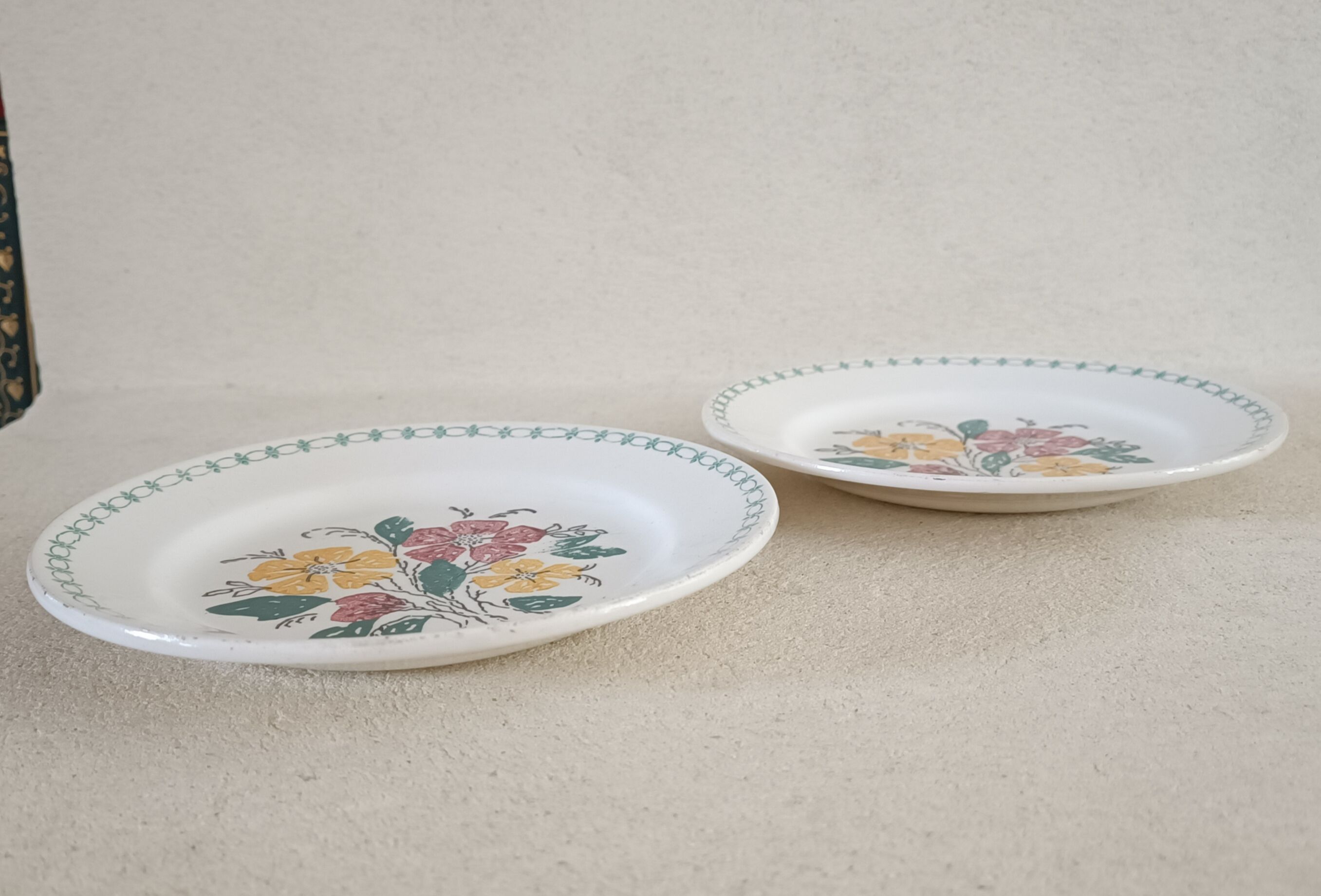 2 plates in iron earth