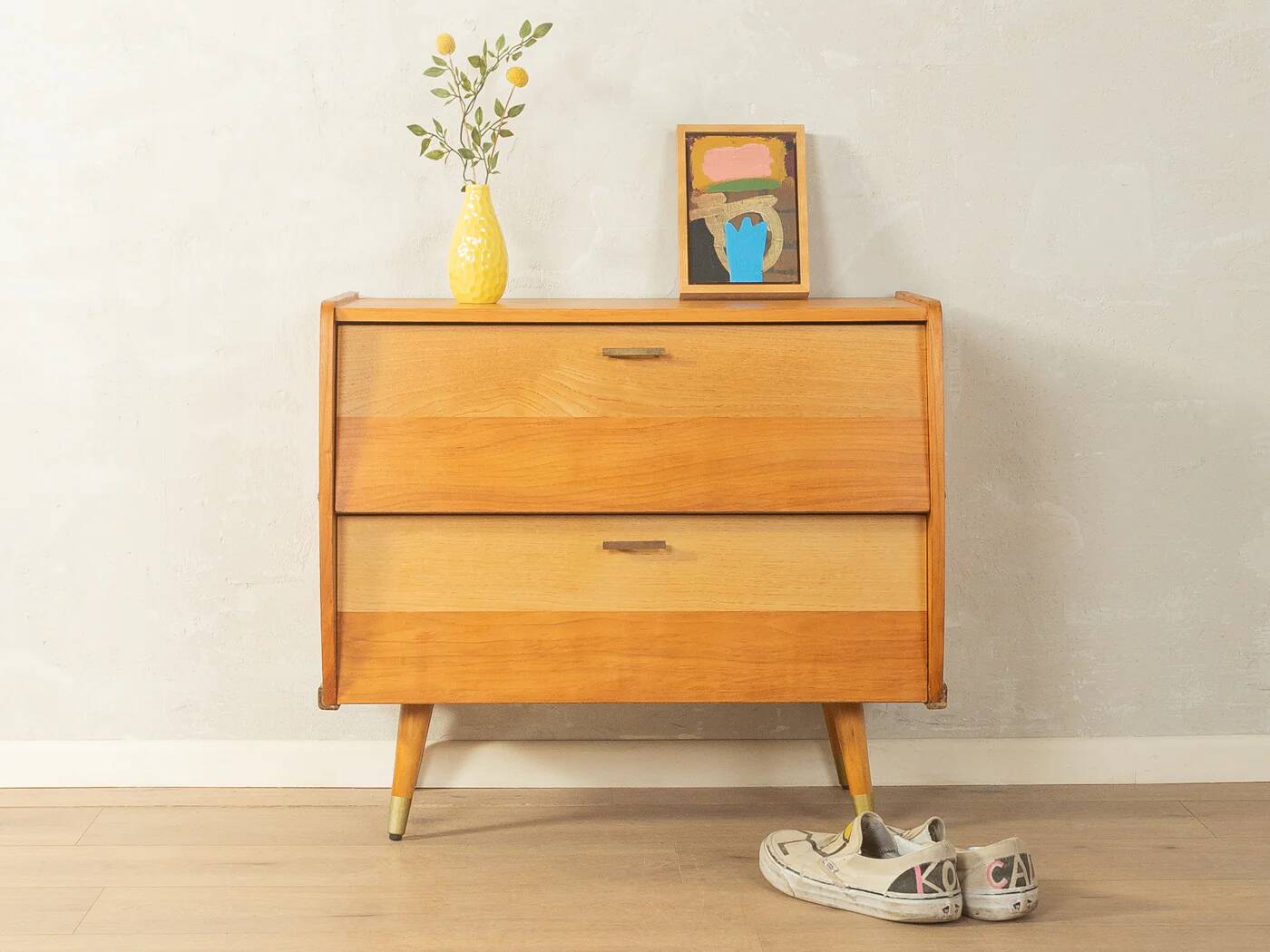 1950s Mid-Century Shoe Cabinet