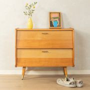 Cabinet à chaussures style mid-century, années 1950