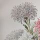 Botanical engraving from 1897 - Reine-Marguerite Comète - old original flower plate by E.Godart