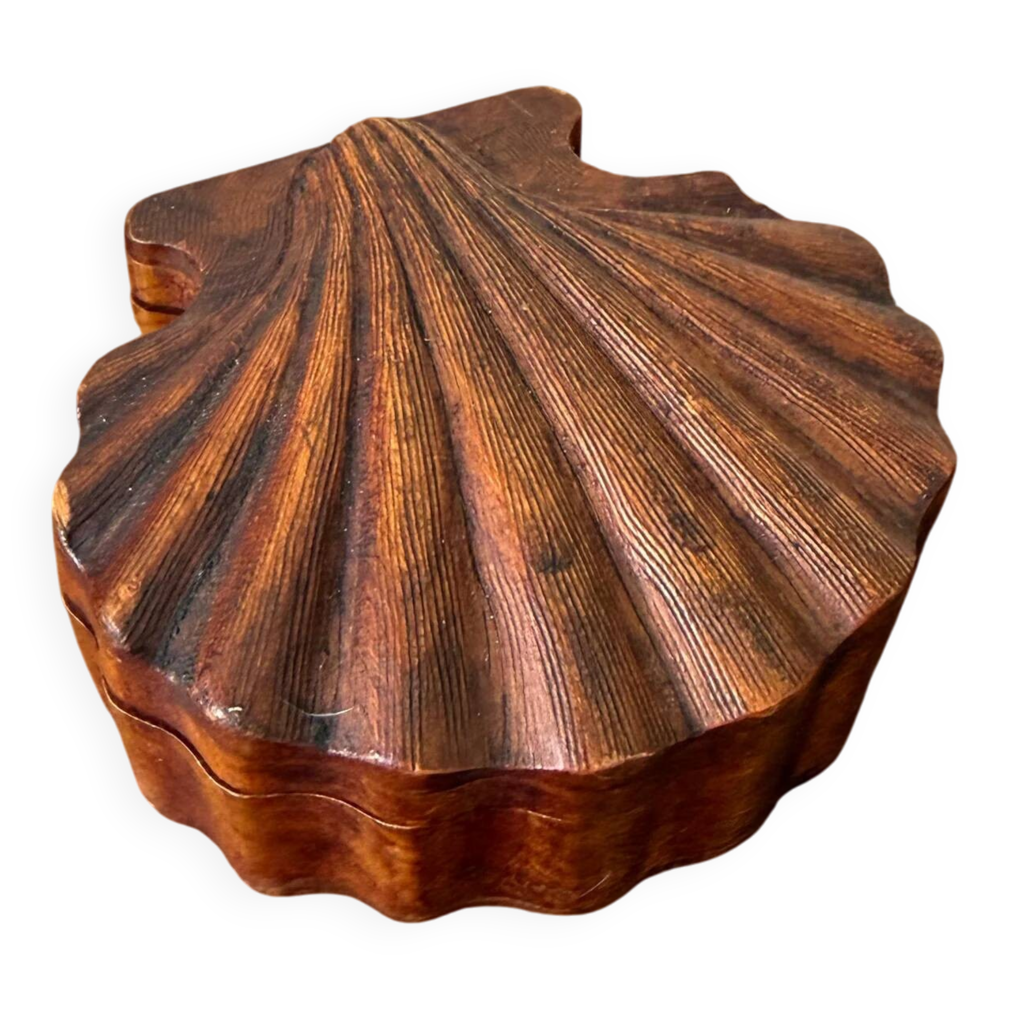 Wooden shell box – natural charm