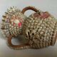 Shell vase folk art