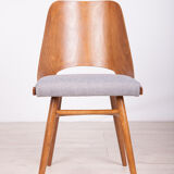 Model lollipop dining chairs from Tatra, 1960