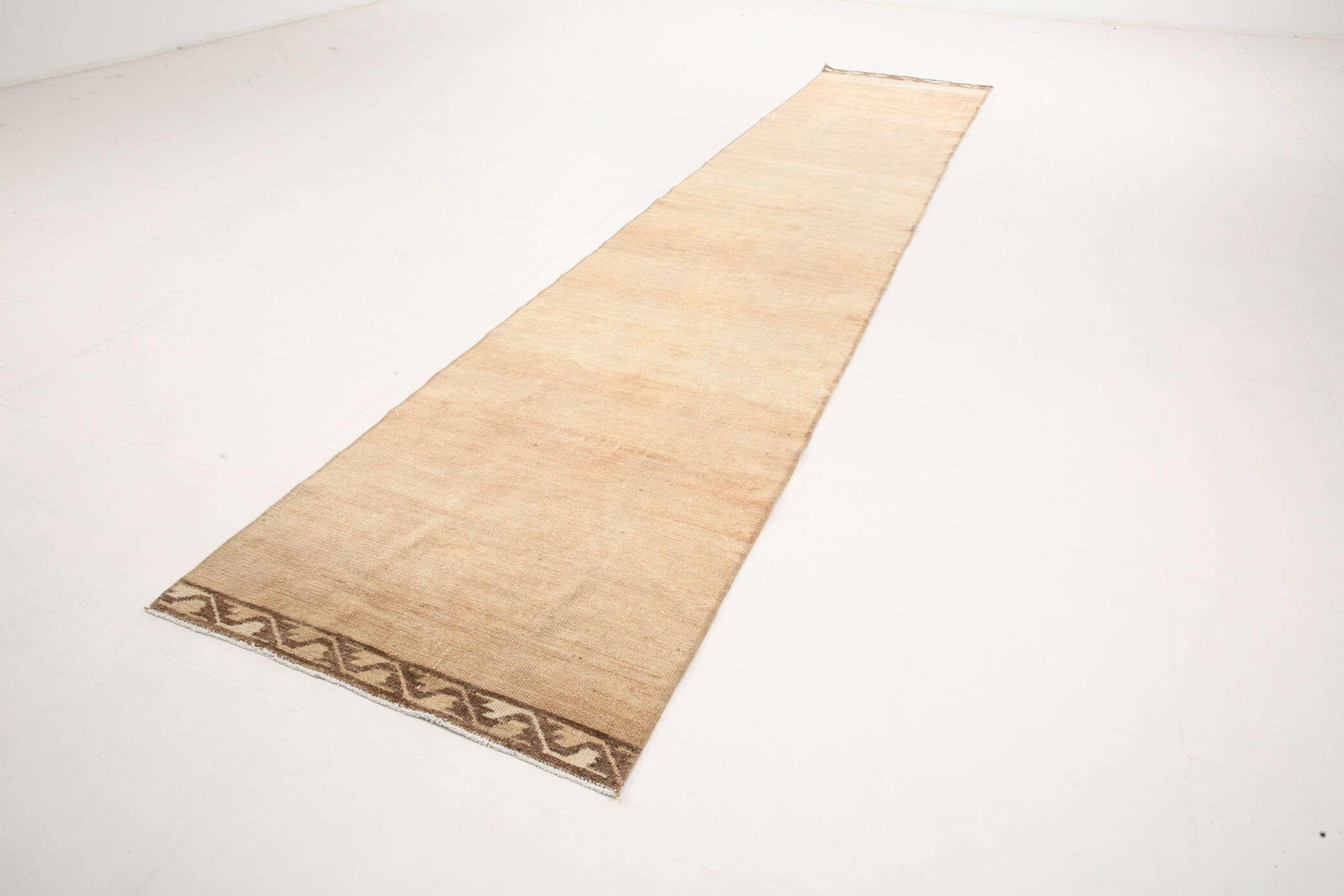 3x14 Vintage Extra Long Runner Rug, 85x429Cm