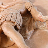 Pair of terracotta medallions