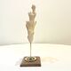 Branch of old natural white coral on wooden base cabinet of curiosities