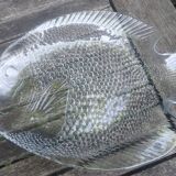 12 assiettes plates Arcoroc vintage en verre transparent figurant un poisson