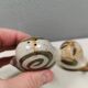 Ceramic snails as salt and pepper shakers, Denmark, 1970s-1980s