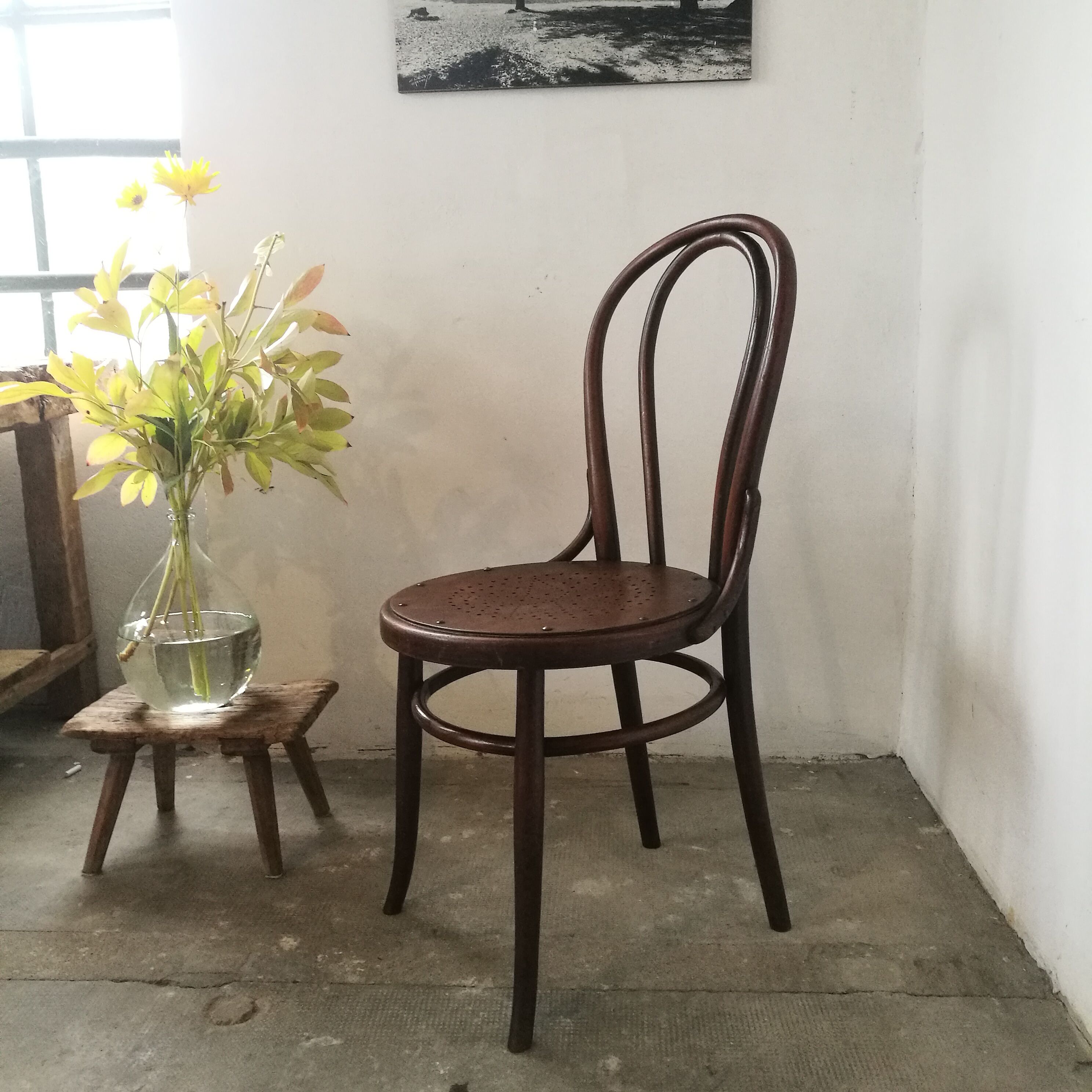 Taxhel bistro chair in curved wood