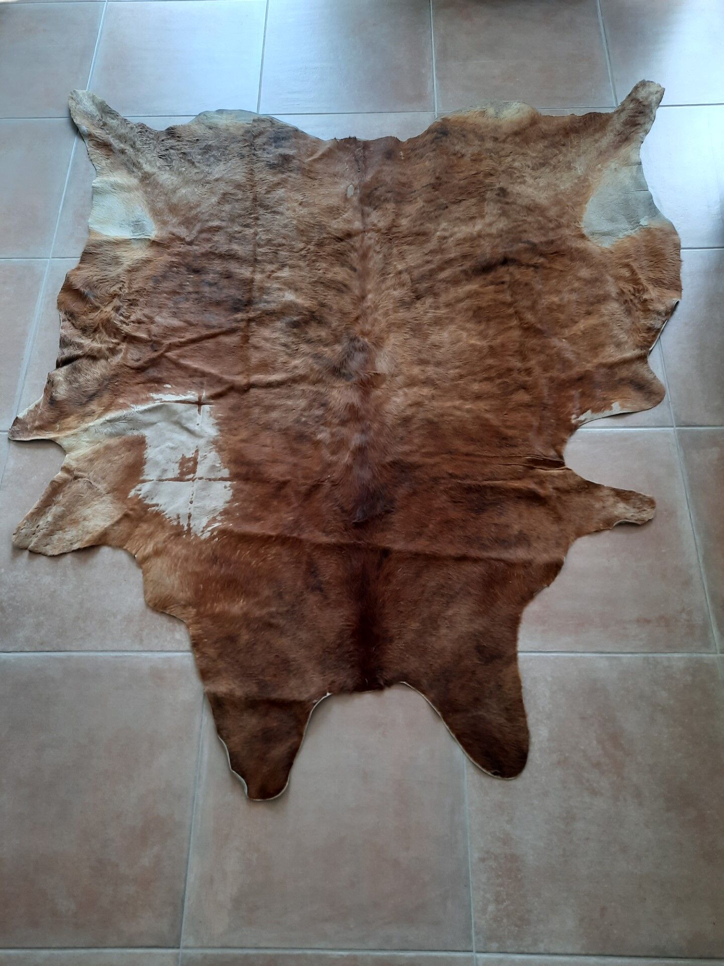Cowhide carpet 230/190