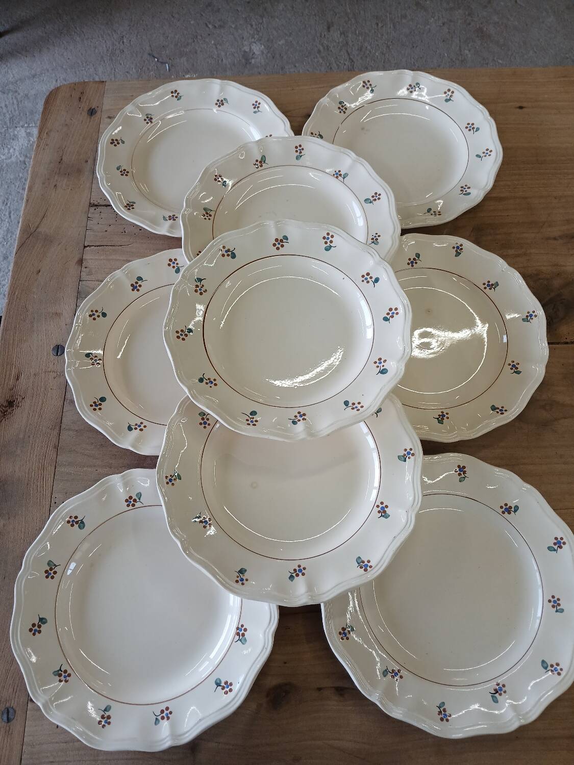 9 old flat plates Digoin Sarreguemines