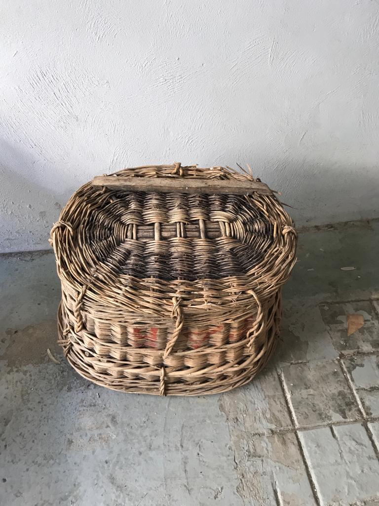 Harvest basket