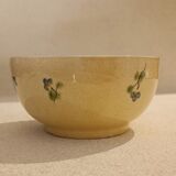 Bol Terre è Provence