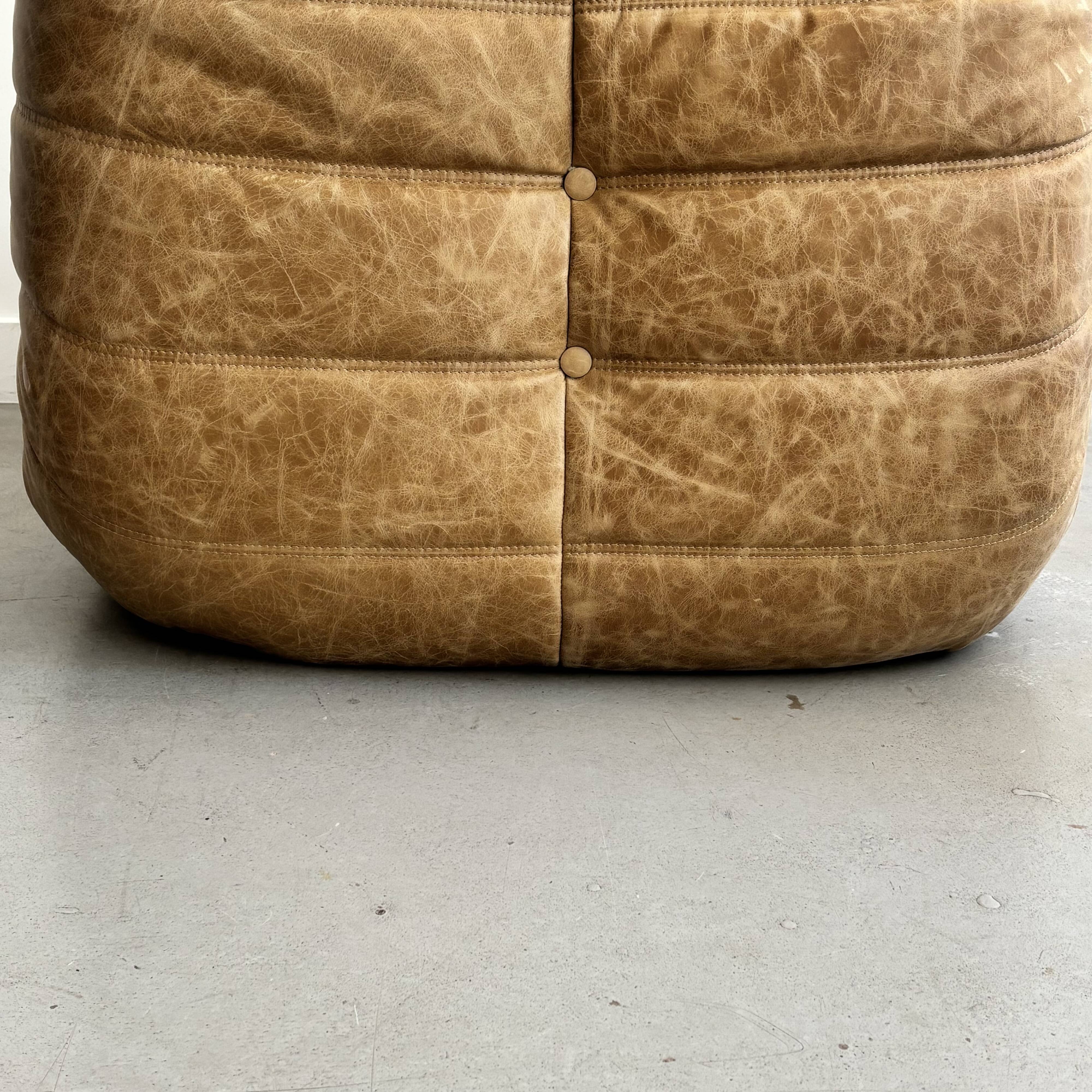 Togo leather armchair by Michel Ducaroy