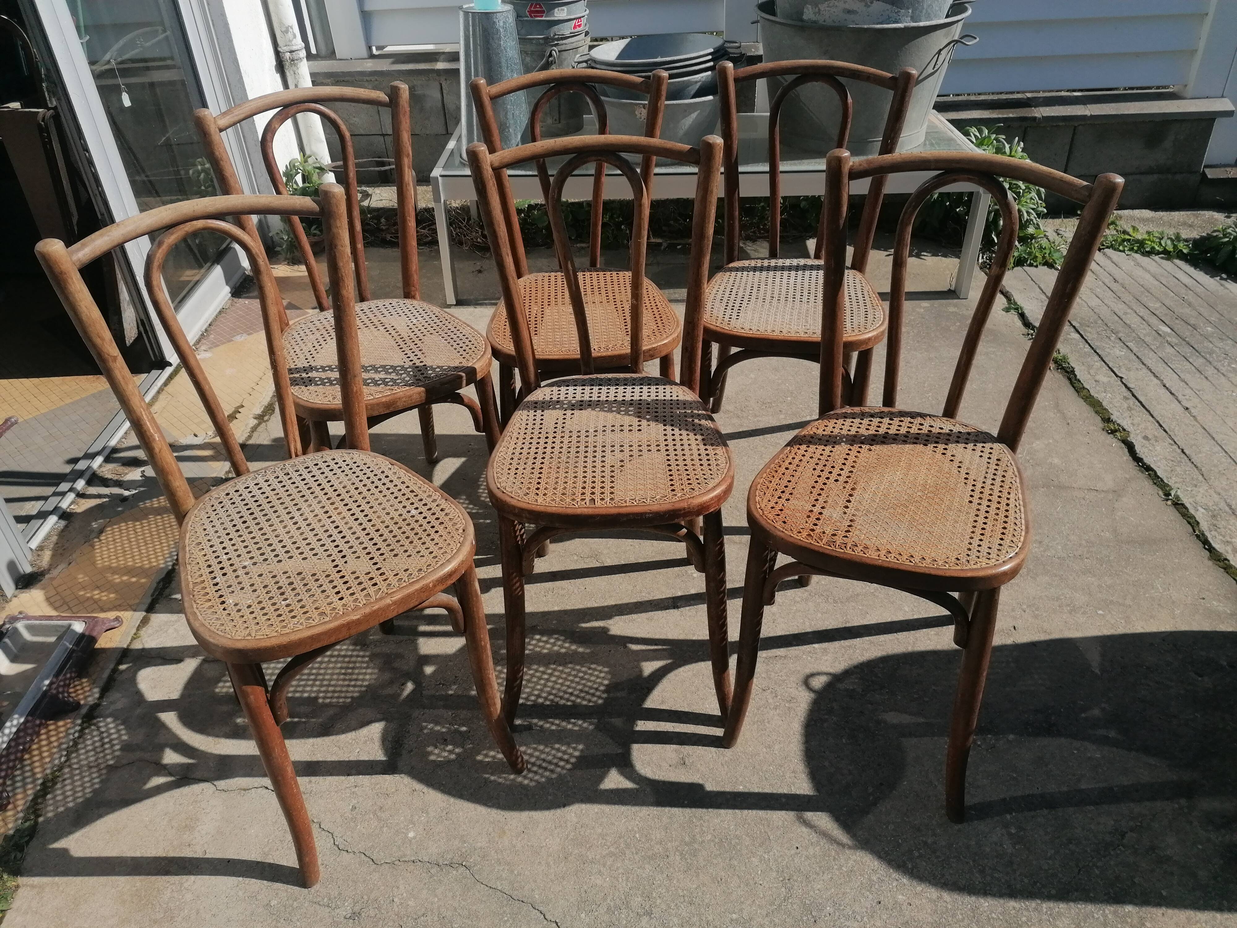 6 chaises cannées Baumann