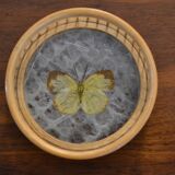 bamboo and glass butterfly tray + 4 coasters