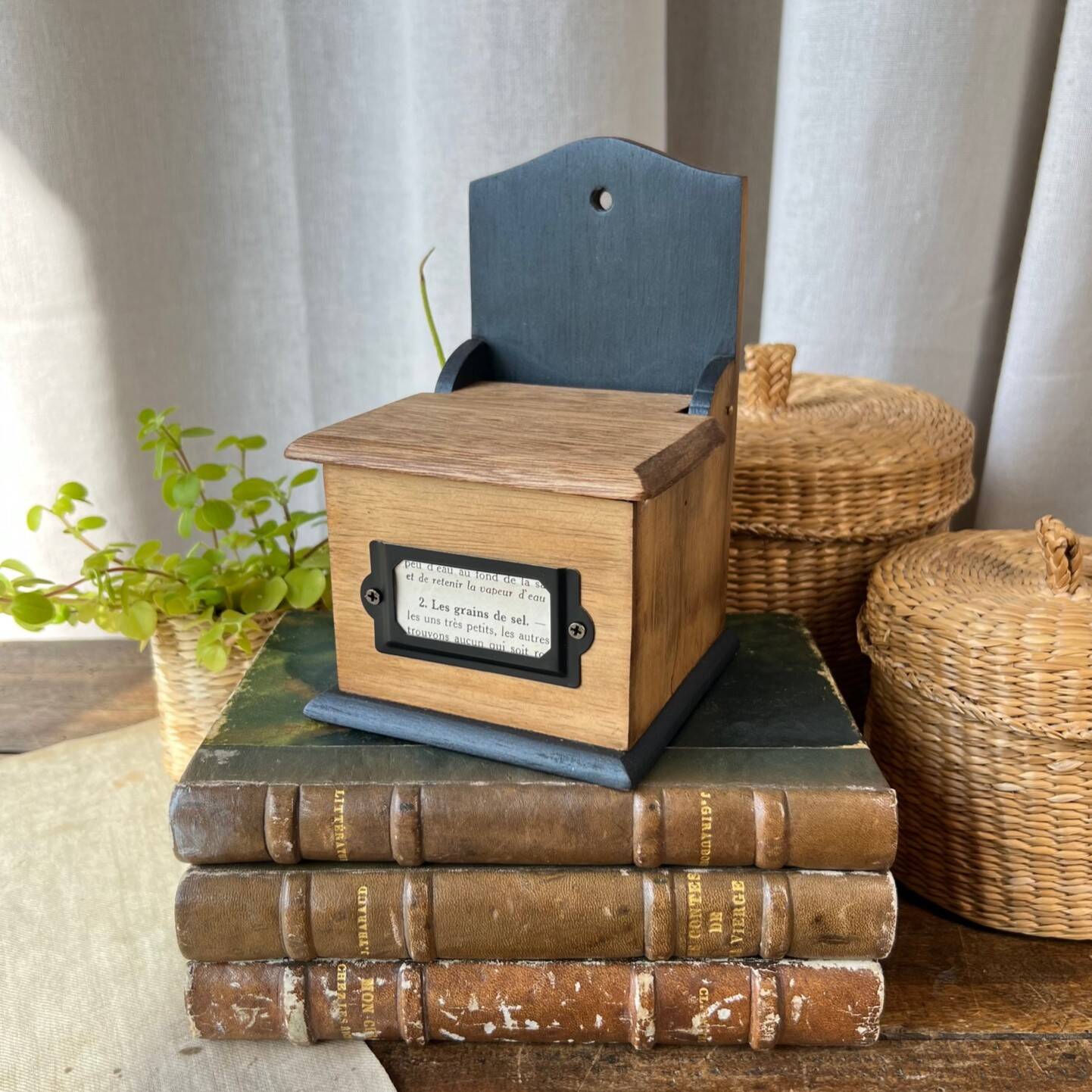 Small “grains of salt” salt box