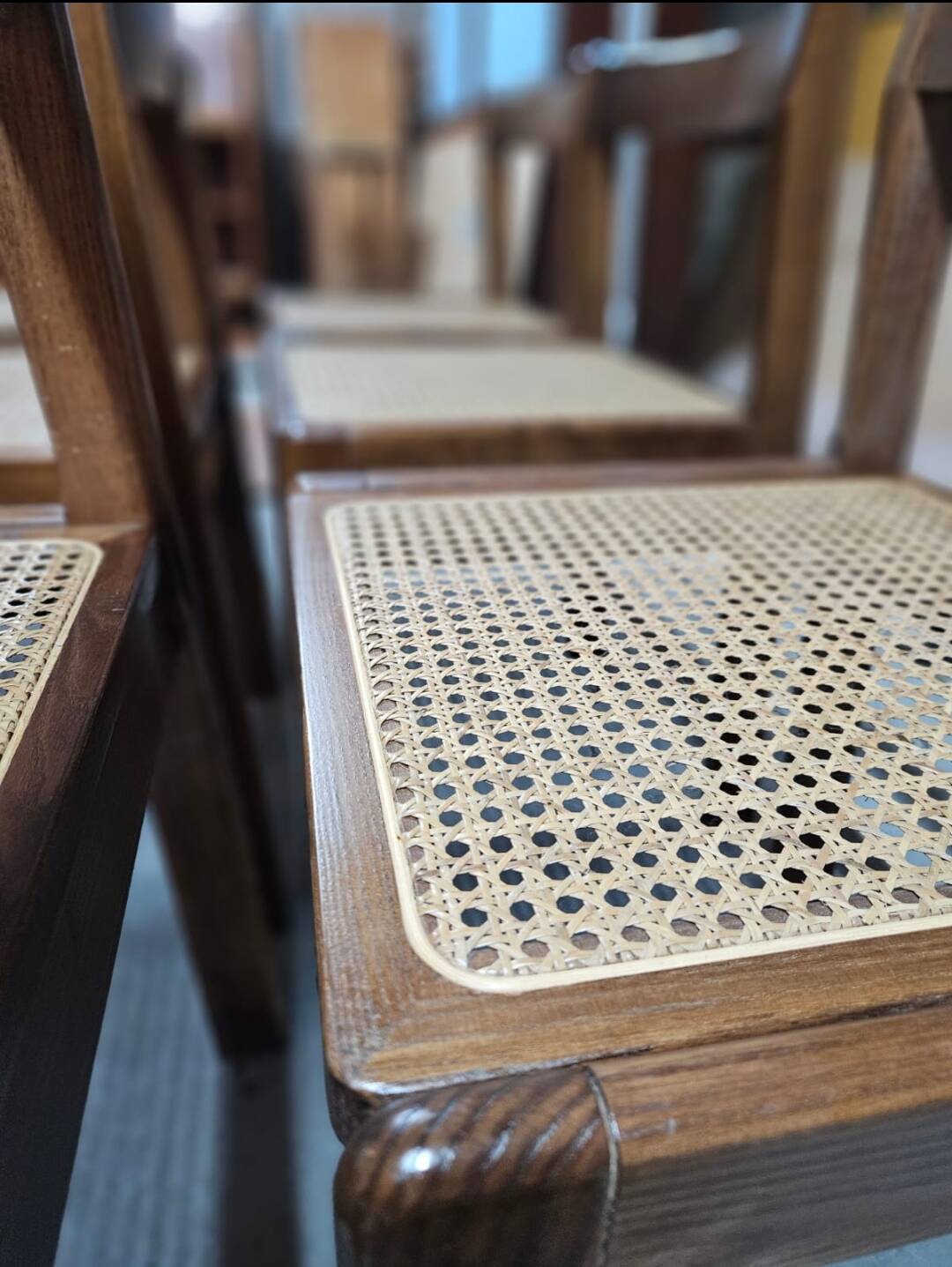 Set 6 chaises Molteni