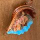 Cendrier barbotine en forme de coquillage Vallauris vintage