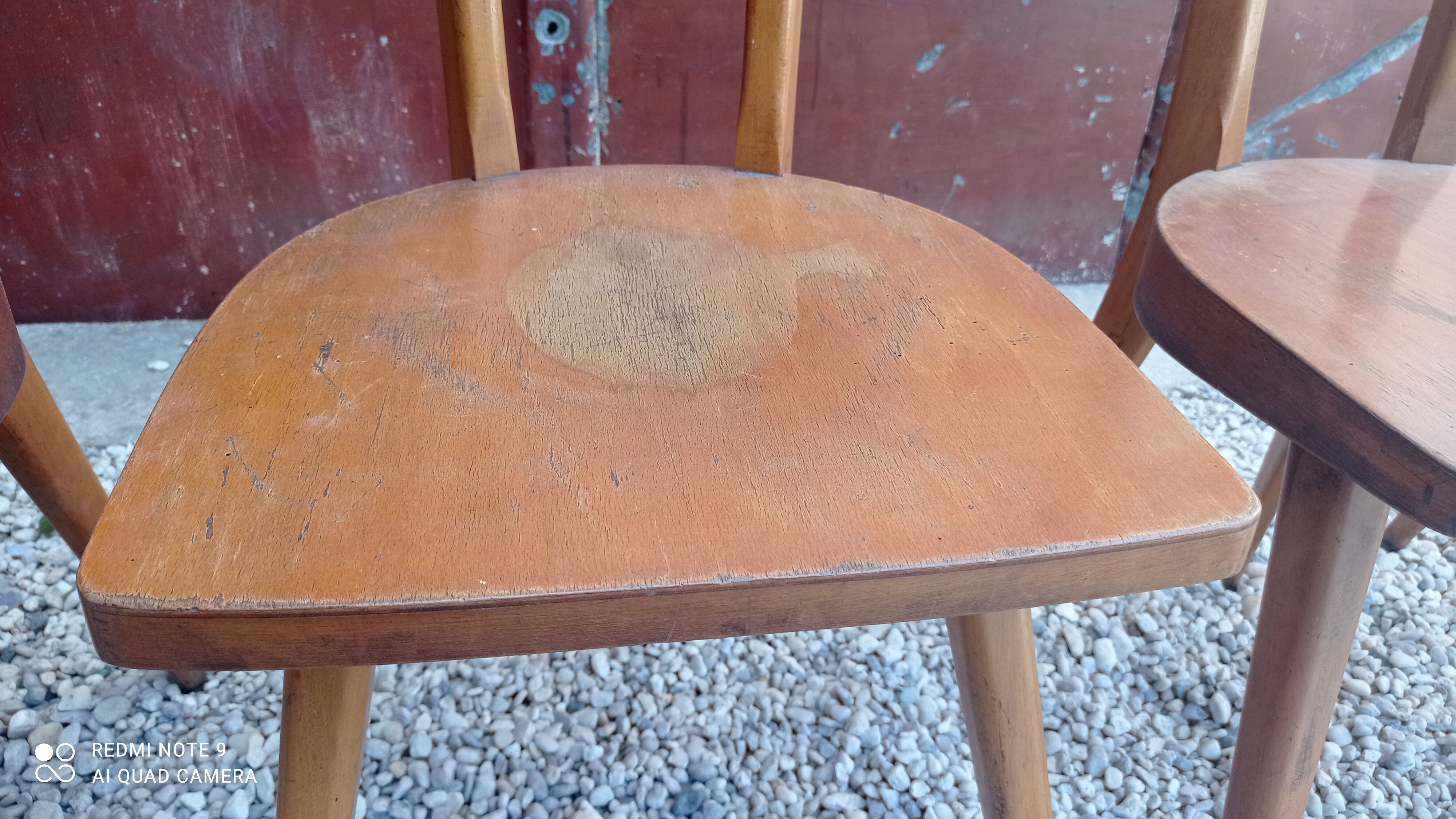 Stella antelope chairs