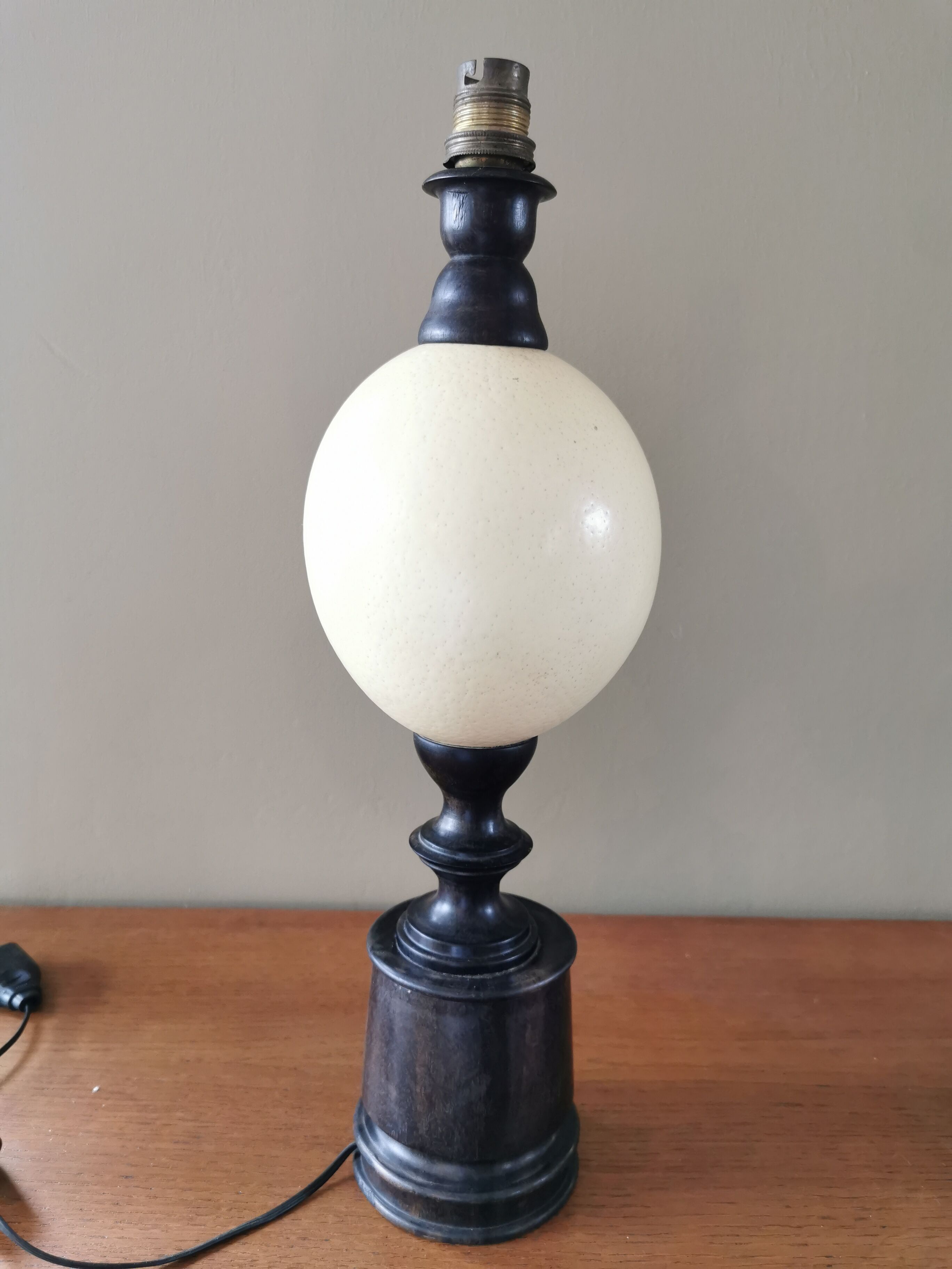 Ancient ebony boid lamp and ostrich egg with day offal