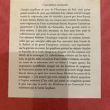 Planches zoologiques vintage -Papillons