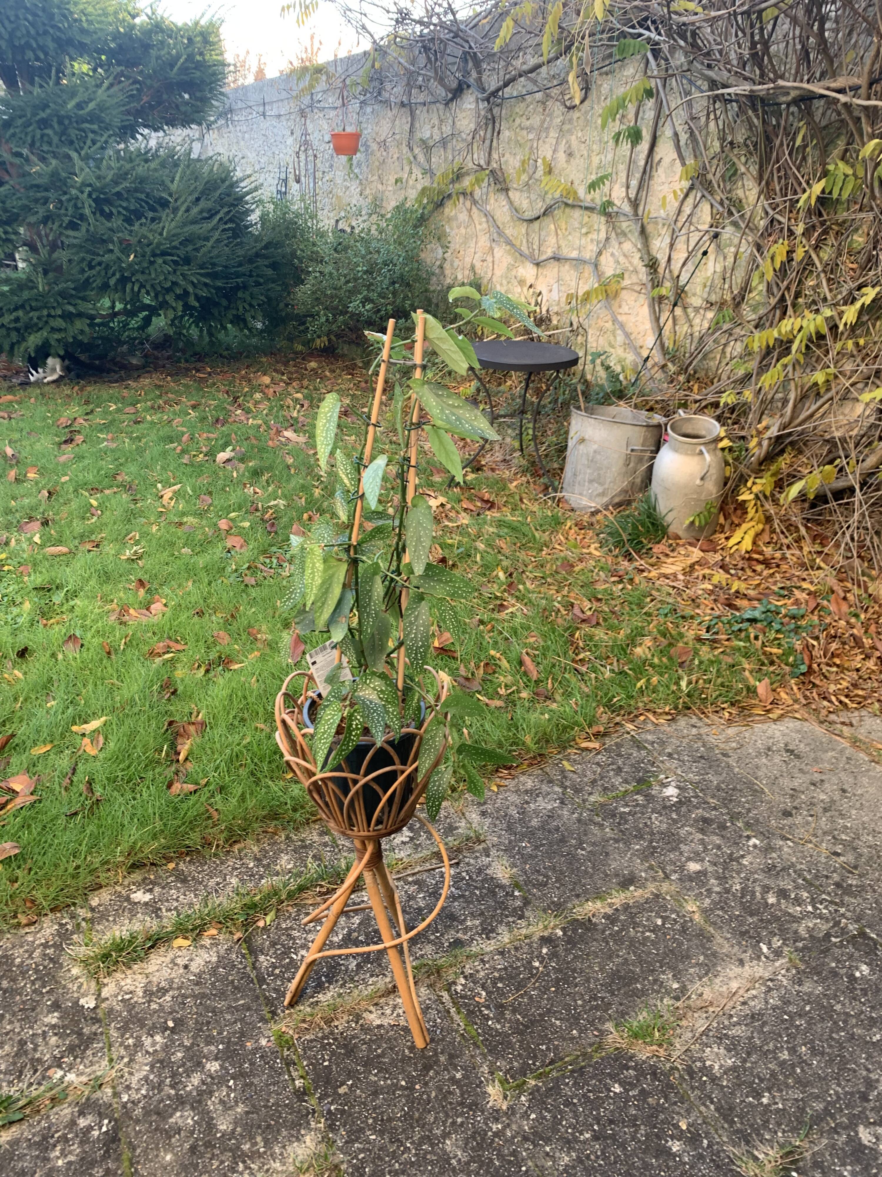 Vintage rattan and wicker plant holder
