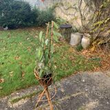 Porte plante en rotin et osier vintage