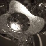 C. Shneider crystal lamp