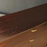 Mid century shoe cabinet