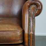 especially comfortable wingback chair made of sheepskin leather, stunning colors