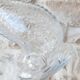 Zoomorphic glass decanter fish