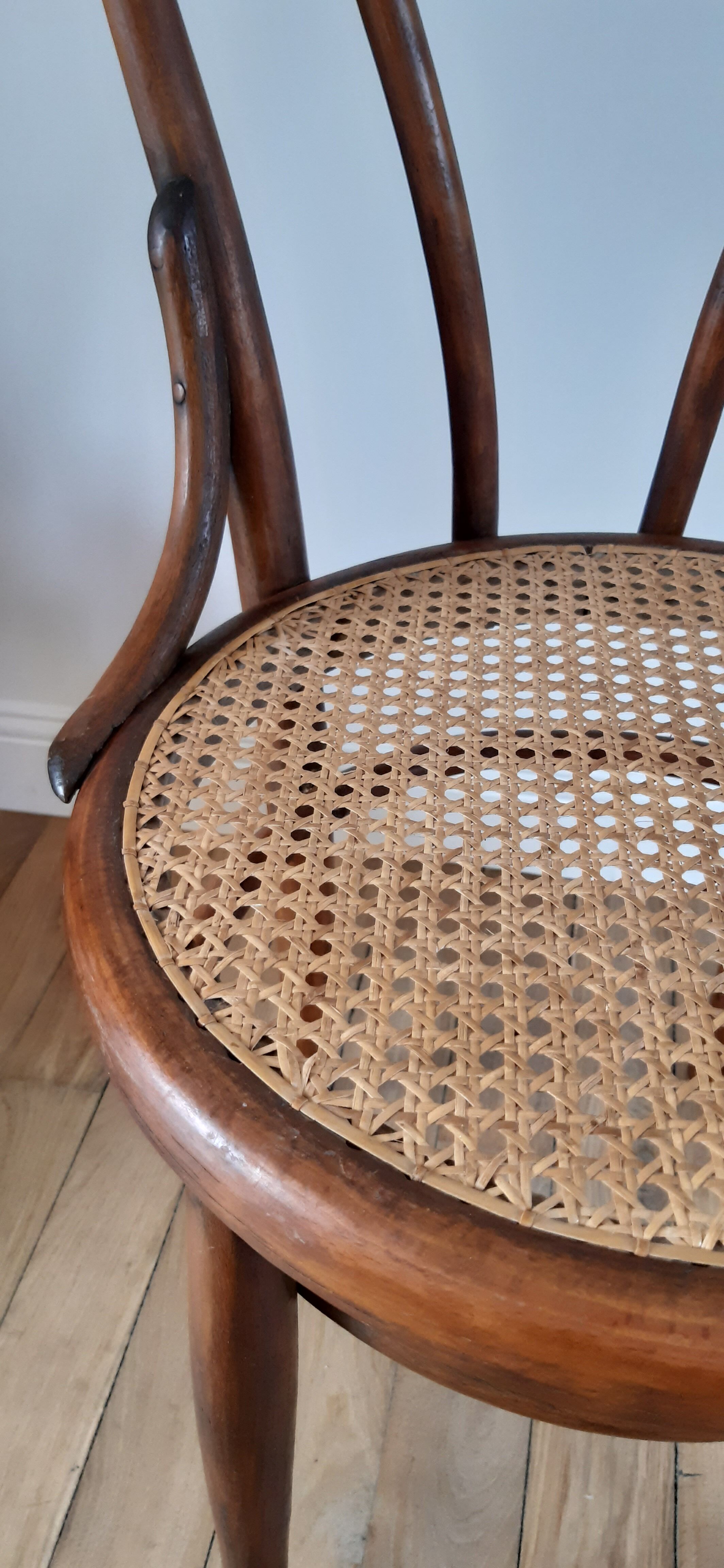 Chair in bentwood and canning XIXth