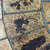 Coffee table Roger Capron herbarium