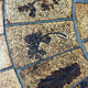 Coffee table Roger Capron herbarium