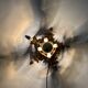 Hollywood regency gold leaf flower light , 1970s