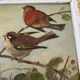 Vintage painting on panel of 3 tits on a branch.