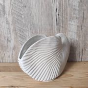 Shell tea light holder