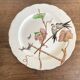 set de 12 assiettes polychrome 1850 ondulées Brownfield England oiseaux